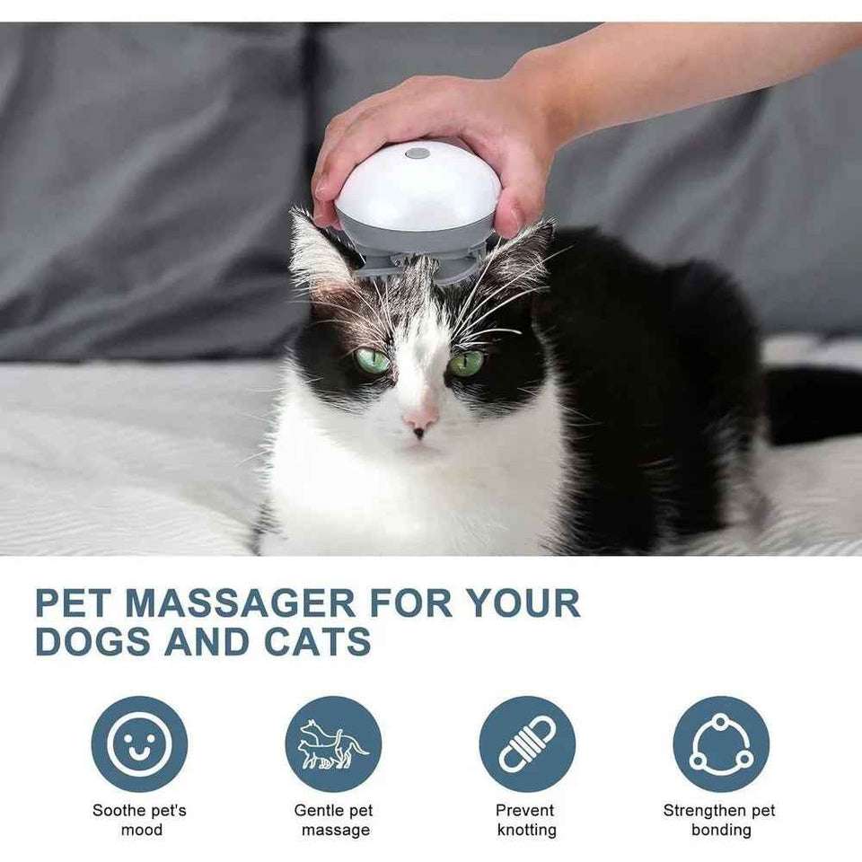 Electric scalp massager